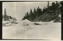 Image of Trout River